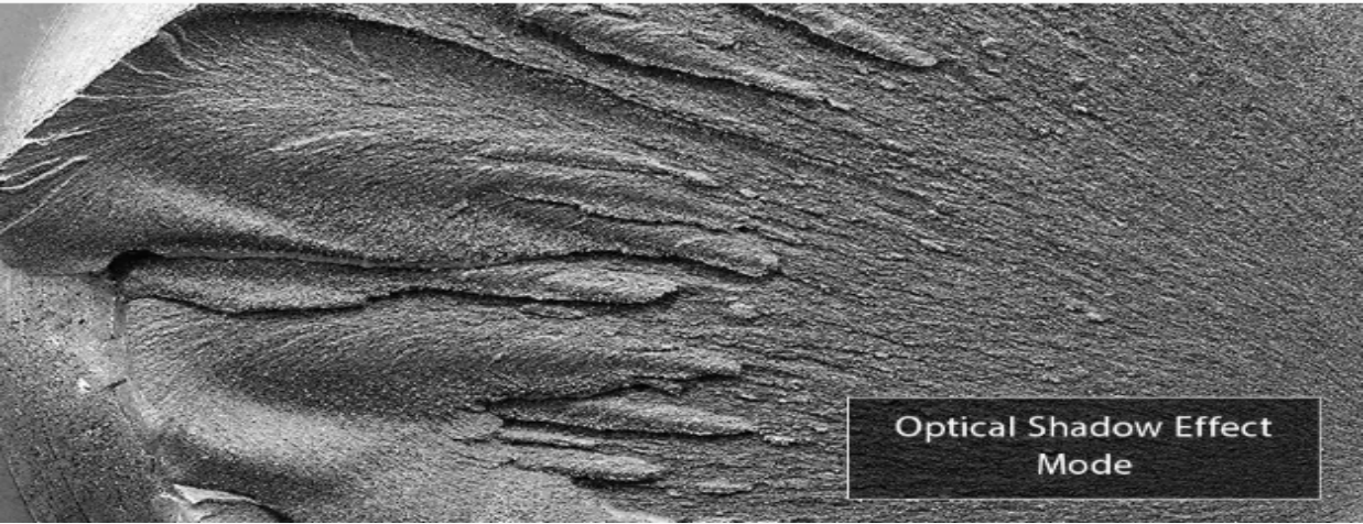 數(shù)碼顯微鏡測試圖片 數(shù)碼顯微鏡測試圖片